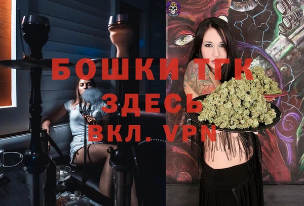 spice Богородицк