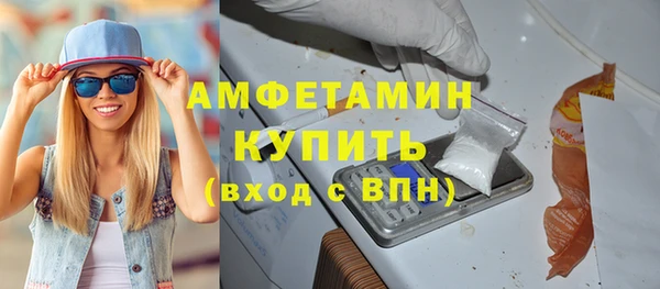 spice Богородицк