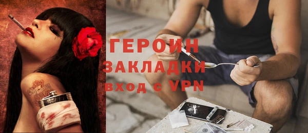 spice Богородицк