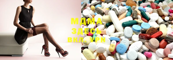 spice Богородицк