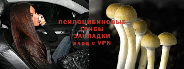 spice Богородицк