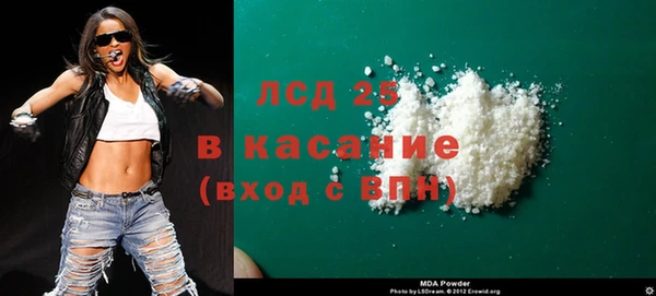spice Богородицк