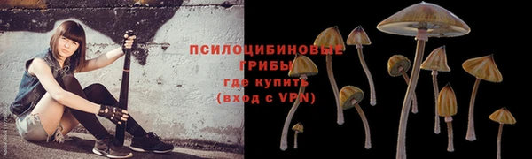 крисы Бугульма