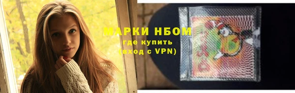 spice Богородицк