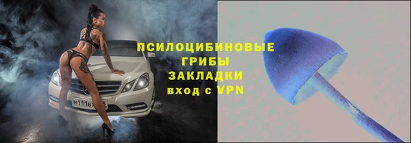 мет Богданович