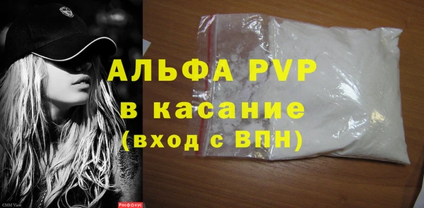 spice Богородицк