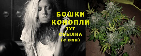 винт Богородск