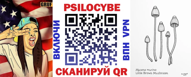 Галлюциногенные грибы Cubensis  Гусиноозёрск 